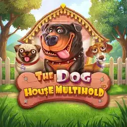 The Dog House Multihold game at Buran Casino for Australia players